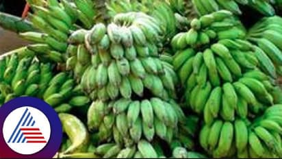 ದಿಢೀರನೆ ಏರಿದ ಬಾಳೆಕಾಯಿ ದರ; ಶ್ರಾವಣ ಮಾಸಕ್ಕೂ ಮುನ್ನ ಏರಿಕೆ ಬಿಸಿ!