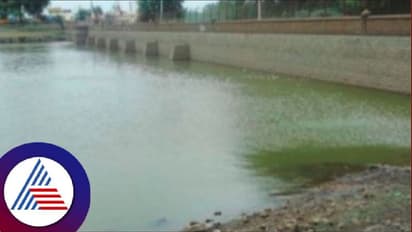 ಬಾರದ ಮುಂಗಾರು, ಮುಧೋಳದಲ್ಲಿ ಜಲಮೂಲಗಳು ಖಾಲಿ ಖಾಲಿ