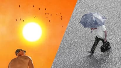 எல் நினோவுக்கு குட்-பை: தமிழ்நாடு வெதர்மேன் சொன்ன ஹேப்பி நியூஸ்!