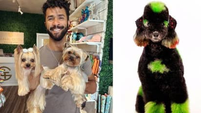 ഡോഗ് ഗ്രൂമറായ 31 -കാരൻ വർഷം നേടുന്നത് 10 കോടി!