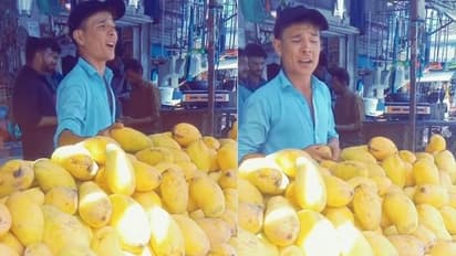 ವಕಾ ವಕಾ ಮ್ಯಾಂಗೋ : ವಿಭಿನ್ನವಾಗಿ ಮಾವು ಮಾರುವ ಶಕೀರಾ ಫ್ಯಾನ್‌ ಫುಲ್ ವೈರಲ್‌