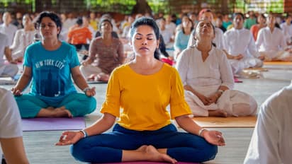 International Yoga Day 2024: Can yoga reduce blood pressure? 5 poses to manage hypertension