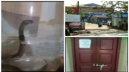 മൂന്ന് ദിവസം, പിടിച്ചത് 10 മൂര്ഖന് കുഞ്ഞുങ്ങളെ; പാമ്പ് ഭീതിയില് സർക്കാർ ആശുപത്രി, സര്ജിക്കല് വാർഡ് അടച്ചു