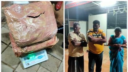12.5 കിലോ കഞ്ചാവുമായി സ്ത്രീ ഉൾപ്പടെ 3 പേർ അറസ്റ്റിൽ, ഹൈറേഞ്ചിലേക്ക് ലഹരിയെത്തിക്കുന്ന ഇടനിലക്കാരെന്ന് പൊലീസ്