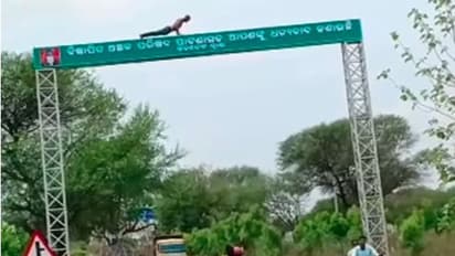 ಇವನಿಗೆ ಬೇರೆ ಜಾಗ ಇಲ್ವಾ: ಹೈವೇ  ದ್ವಾರದ ಮೇಲೆ ಯುವಕನ ಪುಶ್‌ಅಪ್: ವೀಡಿಯೋ ವೈರಲ್