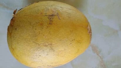 ദഹനം മെച്ചപ്പെടുത്താനും മലബന്ധം അകറ്റാനും സഹായിക്കും ഈ പഴം...