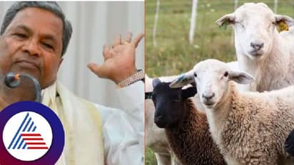 ಅನುಗ್ರಹ ಯೋಜನೆಗೆ ಸರ್ಕಾರದ ಅನುಗ್ರಹವಿಲ್ಲ, ಕುರಿ-ಮೇಕೆಗಳ ಸಾವು: ₹1.86 ಕೋಟಿ ಪರಿಹಾರ ಬಾಕಿ!