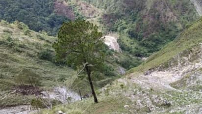 பள்ளத்தில் கார் கவிழ்ந்து விபத்து.. 9 பேர் சம்பவ இடத்திலேயே பலி.. 2 பேர் படுகாயம்.!