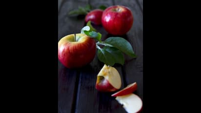 ಬಳ್ಳಾರಿ: ಗಣಿನಾಡು ಸಂಡೂರಿಗೆ ಕಾಲಿಟ್ಟ ಸೇಬು ಕೃಷಿ..!