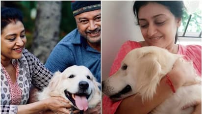 'നീയില്ലാതെ വീട് ഒരിക്കലും പഴയതുപോലെ ആകില്ല'; വേദന നിറഞ്ഞ വാക്കുകളുമായി പാര്വ്വതി...