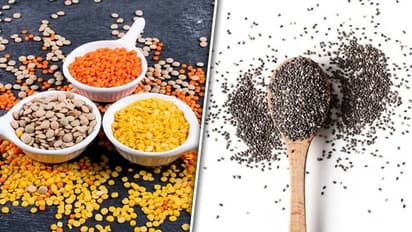 Chia Seeds to Lentils: 5 plant-based foods to boost protein intake