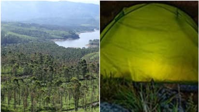 ആനത്താരകളിലുള്പ്പെടെ അനധികൃത ടെന്റുകൾ; സുരക്ഷയ്ക്ക് ഭീഷണിയെന്ന് കളക്ടർ, കർശന നടപടികളിലേക്ക് അധികൃതര്