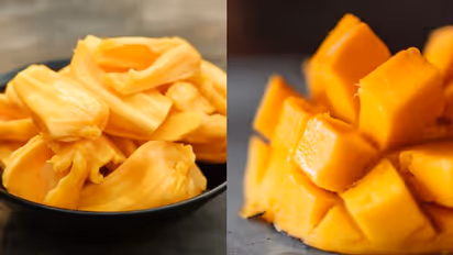Can diabetic patients eat jackfruit or mangoes? Here's what health expert says