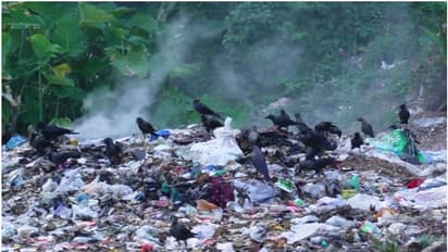 അവനവൻ കുഴിയ്ക്കുന്ന ഗുലുമാൽ...; മാലിന്യം ഇനി ചില്ലറക്കളിയല്ല, വലിച്ചെറിഞ്ഞാൽ വൻതുക പിഴ, ഒപ്പം ജയിലും!