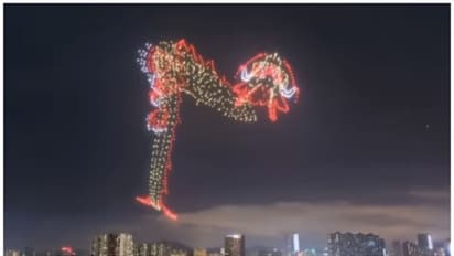 പാതിരാത്രിയില്‍ ആകാശത്ത് പറന്ന് നടക്കുന്ന ഡ്രാഗണ്‍; വീഡിയോ ഏറ്റെടുത്ത് സാമൂഹിക മാധ്യമങ്ങള്‍ 