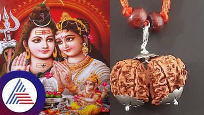 Gauri Shankar Rudraksha: ಸದಾ ಕಚ್ಚಾಡುವ ದಂಪತಿ ನಡುವೆ ಪ್ರೀತಿ ತರುವ ವಿಶೇಷ ರುದ್ರಾಕ್ಷಿ