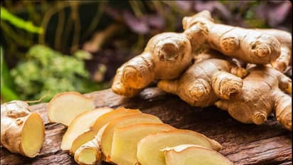 Ginger Price Hike: అల్లం కొనేటట్టు లేదు..టమాటా తినేటట్టు లేదు...భారీగా పెరిగిన అల్లం ధర...కారణం ఇదే..?