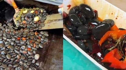 ഇതാ പുതിയ ഭക്ഷണം, പൊരിച്ചെടുത്ത കല്ലുകൾ! അമ്പരന്ന് സോഷ്യൽ മീഡിയ