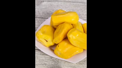 9ರಂದು ತಿಪಟೂರಲ್ಲಿ ಹಲಸಿನ ಹಬ್ಬ: ಗುರು ಸಿರಿಗಂಧ