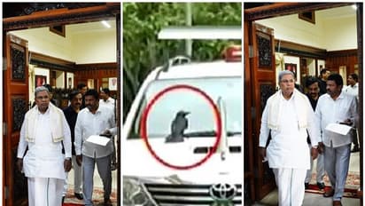 ಮೌಢ್ಯಕ್ಕೆ ಬ್ರೇಕ್ ಹಾಕಿದ ಸಿಎಂ ಸಿದ್ದರಾಮಯ್ಯ, 5 ವರ್ಷದ ನಂತರ ಮತ್ತೇ ಓಪನ್ ಆಯ್ತು ದಕ್ಷಿಣ ದ್ವಾರ!