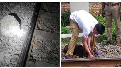 ரயிலை கவிழ்க்க சதியா.? திருப்பத்தூரில் தண்டவாளத்தில் பெரிய கற்களை வைத்தது யார்.? போலீஸ் விசாரணை தீவிரம்