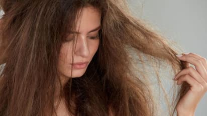 വരണ്ട തലമുടിയാണോ? പരീക്ഷിക്കാം ഈ മൂന്ന് ഹെയര് പാക്കുകള്...