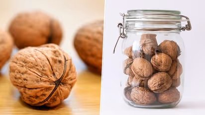 Walnuts, all-season nutritious nut: Know health benefits and easy recipes