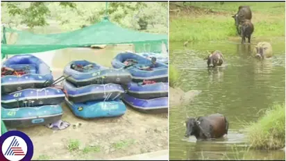 'Jeevanadi' going dry: Coorg suffers in tourism