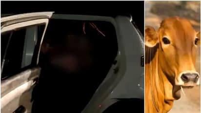 പശുവിറച്ചി കടത്തിയെന്നാരോപിച്ച് യുവാക്കൾക്ക് ക്രൂരമർദ്ദനം; ഒരാൾ കൊല്ലപ്പെട്ടു