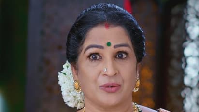 Brahmamudi: అప్పు ప్రవర్తనకి ఆశ్చర్యపోతున్న కనకం.. కావ్య చేసిన పనికి రాజ్ అంగీకరిస్తాడా?