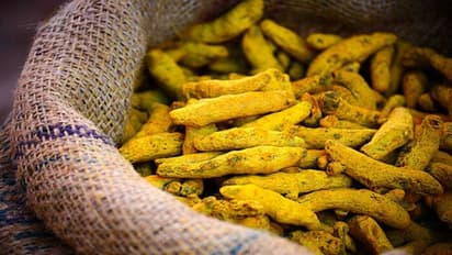 தேசிய மஞ்சள் வாரியம் அமைப்பு: மத்திய அரசு அறிவிப்பு!