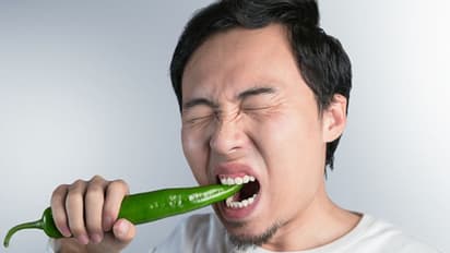 മുളകും ചോക്ക്ലേറ്റും കഴിക്കൂ, 'ജെറ്റ് ലാഗ്' ഒഴിവാക്കൂവെന്ന് ഓസ്ട്രേലിയന്‍ ഗവേഷകര്‍! 