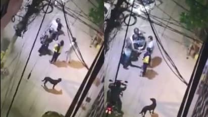 ನಡೆದು ಬರುತ್ತಿದ್ದ ಜೋಡಿಯನ್ನು ಅಡ್ಡಹಾಕಿದ ದರೋಡೆಕೋರರು, ಬಳಿಕ ನಡೆದಿದ್ದೇ ಅಚ್ಚರಿ!