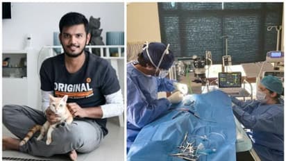 വളര്ത്തു പൂച്ചയുടെ ജീവന് രക്ഷിക്കാന് ഏഴര ലക്ഷത്തിലധികം രൂപയുടെ ശസ്ത്രക്രിയ നടത്തി പ്രവാസി