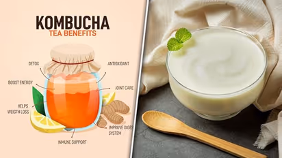 Kombucha to Yoghurt: 6 superfoods to have healthy gut daily