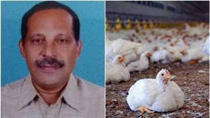മലബാർ എഗ്ഗർ ചിക്കൻ ഫാം ഉടമക്ക് കോഴിഫാമിൽ ദാരുണാന്ത്യം; വിൽസൺ മാത്യു കോഴിഫാമിൽ ഷോക്കേറ്റ് മരിച്ചു