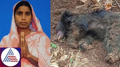 Karnataka: Woman saves husband and brother from bear attack