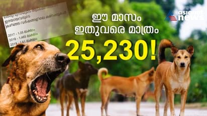 മെയ് വരെ മാത്രം 1.4 ലക്ഷത്തോളം തെരുവുനായ ആക്രമണ കേസുകൾ, ഈ മാസം ഇതുവരെയുള്ള കണക്കുകൾ ഞെട്ടിക്കുന്നത്!