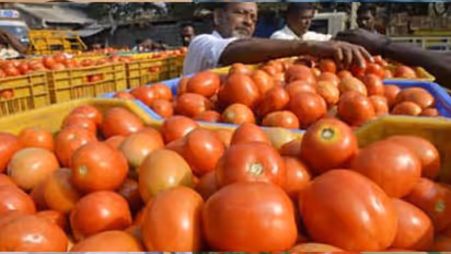 ಈ ಸ್ಮಾರ್ಟ್‌ಫೋನ್ ಶಾಪ್‌ಲ್ಲಿ ಪ್ರತಿಯೊಬ್ಬರಿಗೆ 2 ಕೆಜಿ ಟೊಮೆಟೊ ಫ್ರಿ, ಆದರೆ ಒಂದು ಕಂಡೀಷನ್!