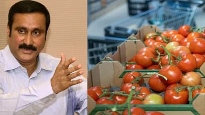 ரூ.120ஐ கடந்த தக்காளி! காய்கறி விலையும் உச்சம்! தொலைநோக்கு திட்டம் தேவை! அன்புமணி ராமதாஸ்.!