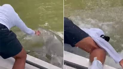 യുവാവിന്‍റെ കയ്യിൽ കടിച്ചു, വെള്ളത്തിലേക്ക് വലിച്ചിട്ട് സ്രാവ്, ഭയാനകം ഈ രം​ഗം 