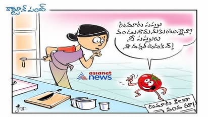 టమోటాకి టాటా..!!