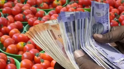 ದೇಶದ ಬಹುತೇಕ ರಾಜ್ಯಗಳಲ್ಲಿ ಟೊಮೆಟೋ 100 ರೂ.ಗೆ ಜಂಪ್: ಬೆಲೆ ಏರಿಕೆ ತಡೆಯಲು ಸರ್ಕಾರದಿಂದ ‘ಟೊಮೆಟೋ ಗ್ರಾಂಡ್ ಚಾಲೆಂಜ್’