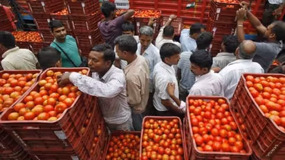Tamil Nadu govt steps in to sell tomatoes at cost-price in Farm Fresh Outlets; check details