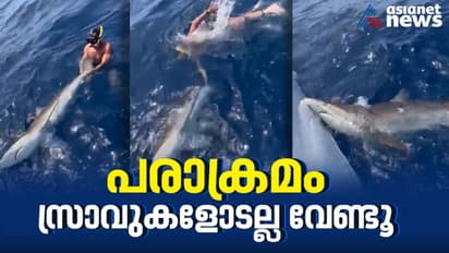 സ്രാവിന്‍റെ വാലില്‍ പിടിച്ച് വലിക്കുന്ന വീഡിയോയ്ക്ക് രൂക്ഷ വിമര്‍ശനം; 'ആണത്തം' സ്രാവിനോടല്ല വേണ്ടതെന്ന് പെറ്റ