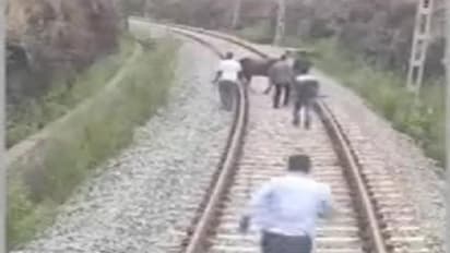 వందేభారత్ ఎక్స్ ప్రెస్ రైలుకు తప్పిన ముప్పు.. ఆవు అడ్డురావడంతో...