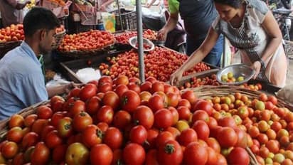 Maharashtra farmer turns millionaire in a month as tomato prices go through the roof