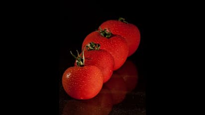 இதுதான் உலகின் விலையுயர்ந்த தக்காளி விதை .. ஒரு கிலோ ரூ.3 கோடியாம்!