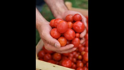 நாளை முதல் ரேஷன் கடைகளில் தக்காளி விற்பனை.. குட்நியூஸ் சொன்ன தமிழக அரசு..
