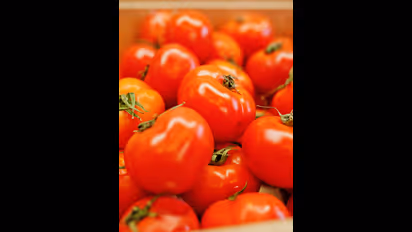 இல்லத்தரசிகளுக்கு குட்நியூஸ்.. சரசரவென குறைந்த தக்காளி விலை.. இன்றைய நிலவரம் என்ன?